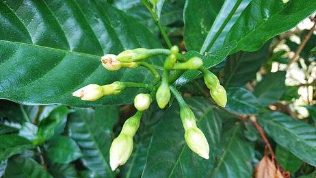 《英雄联盟》铸星龙王重做13.3版本上线 技能组信息公布